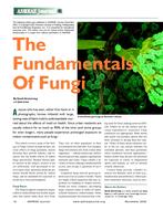 The Fundamentals of Fungi