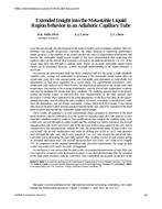 4482 — Extended Insight into the Metastable Liquid Region Behavior in an Adiabatic Capillary Tube