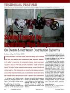 Saving Energy by Insulating Pipe Components on Steam & Hot Water Distribution Systems