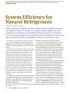 System Efficiency for Natural Refrigerants