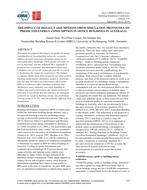 The Impact Of Default Assumptions From Simulation Protocols On Predicted Energy Consumption In Office Buildings In Australia