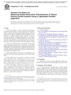 ASTM F1702-10(2018)