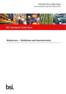 BS PD ISO/TR 21380:2022