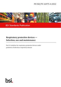 BS PD ISO/TS 16975-4:2022
