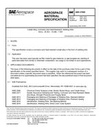 SAE AMS5789D