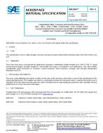SAE AMS5842G
