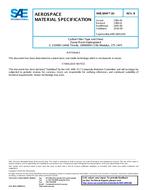 SAE AMS3894/10B