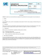 SAE AMS6267J